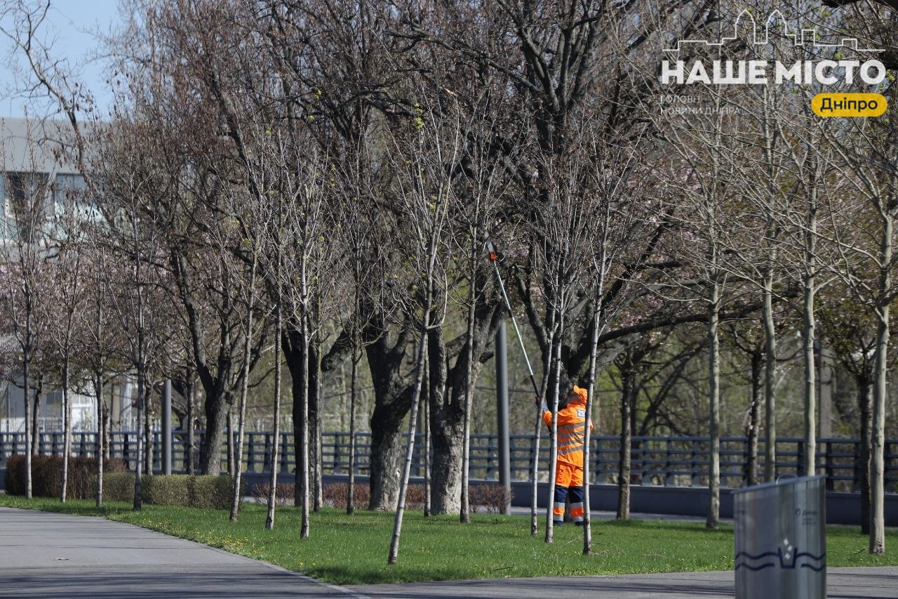 У Дніпрі тривають роботи з догляду за зеленими насадженнями на Набережній Перемоги