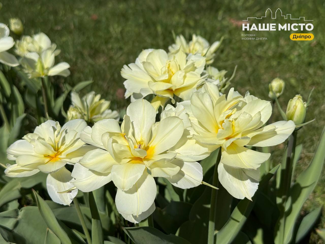 Страсна п’ятниця 10 квітня: основні прикмети та традиції