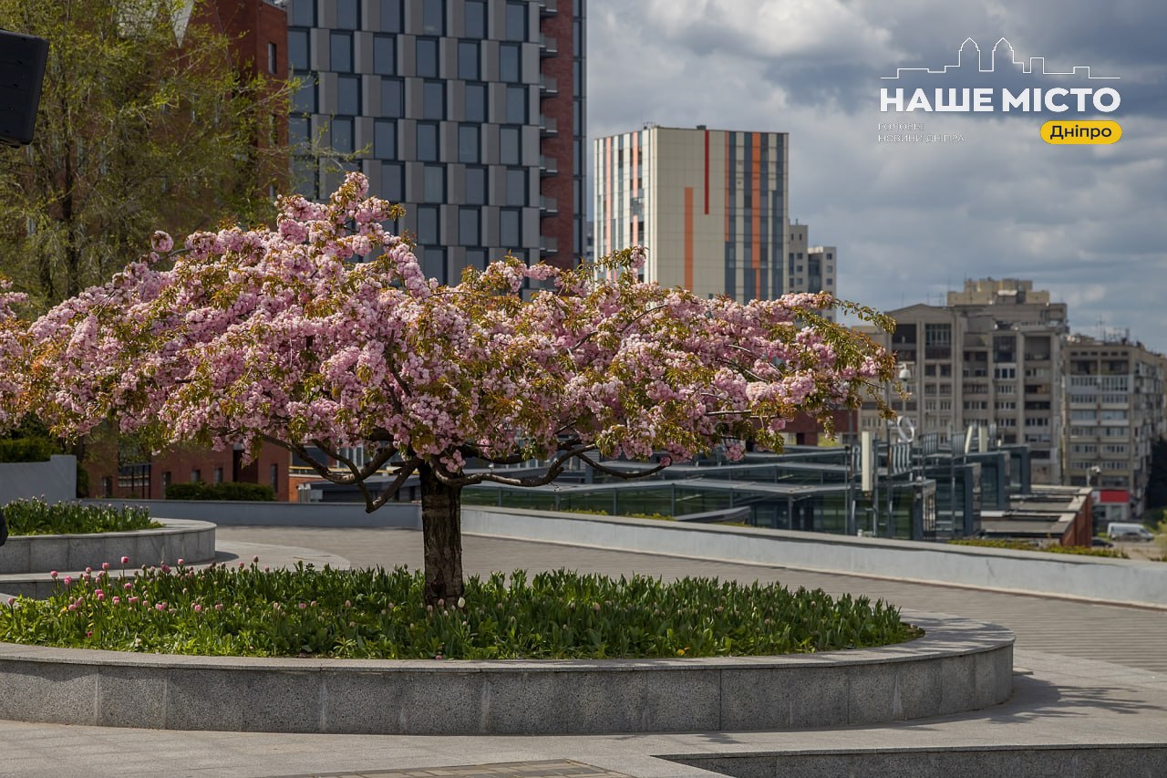 Погода у Дніпрі 1 травня: потепління і можливі короткочасні дощі