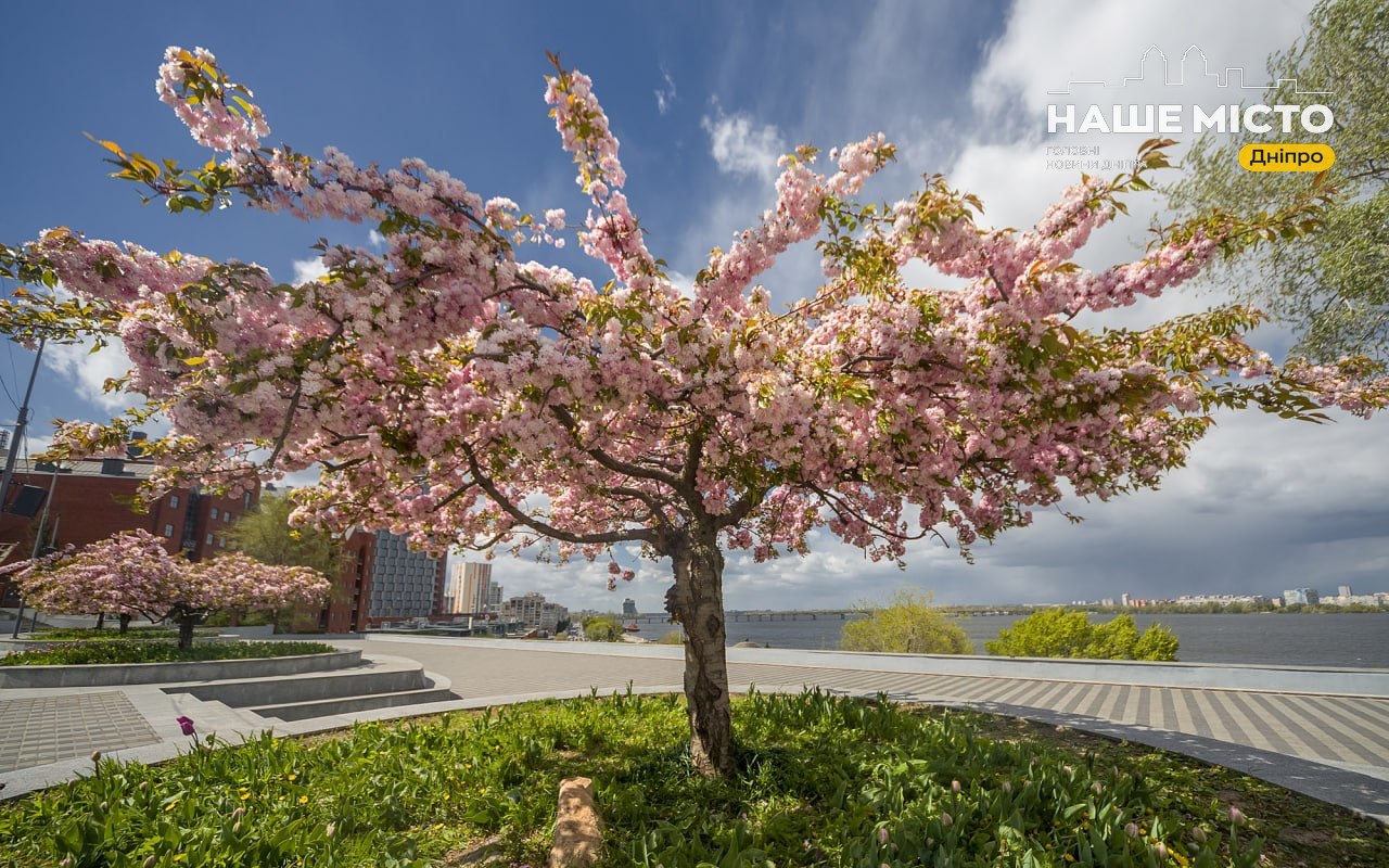 Травневі свята 2026 в Україні: ключові дати для відзначення