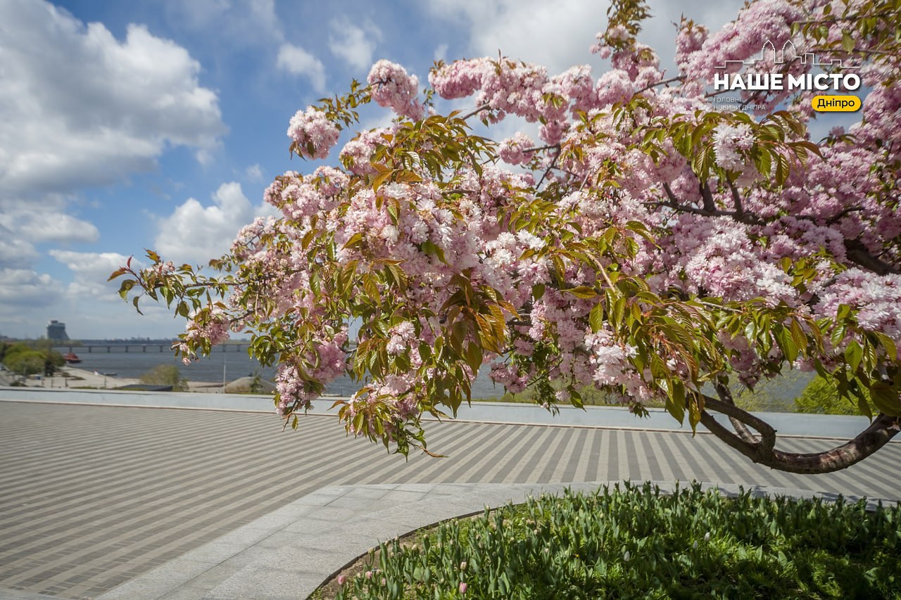 Повітряна тривога тривала майже 3 години у Дніпрі вночі 30 квітня