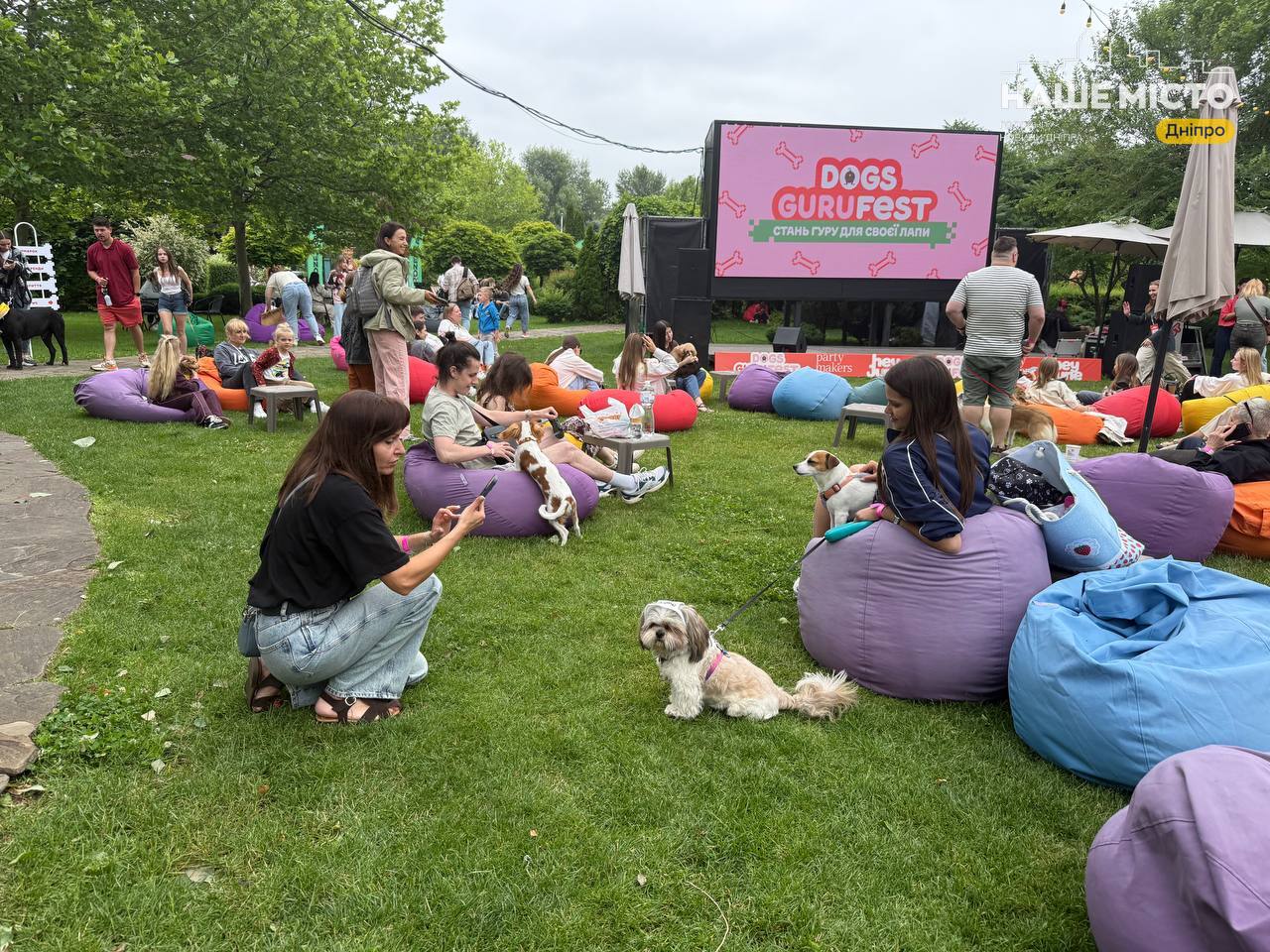 У Дніпрі триває Dogs Guru Fest для собак і їхніх власників