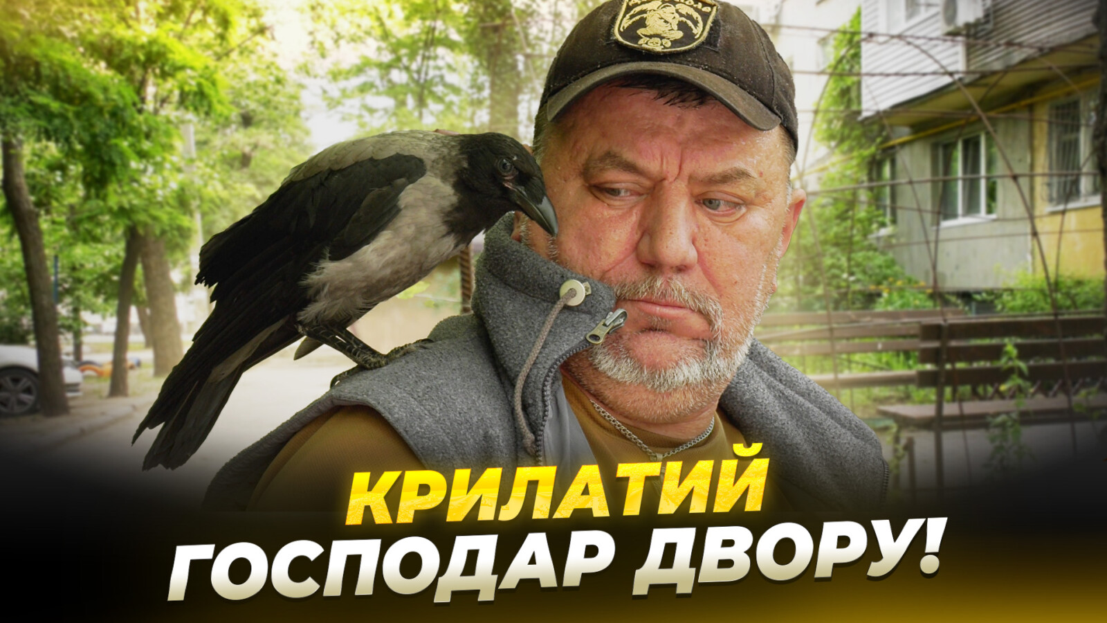 Ворон Жорік став зіркою дворика на Осінній у Дніпрі