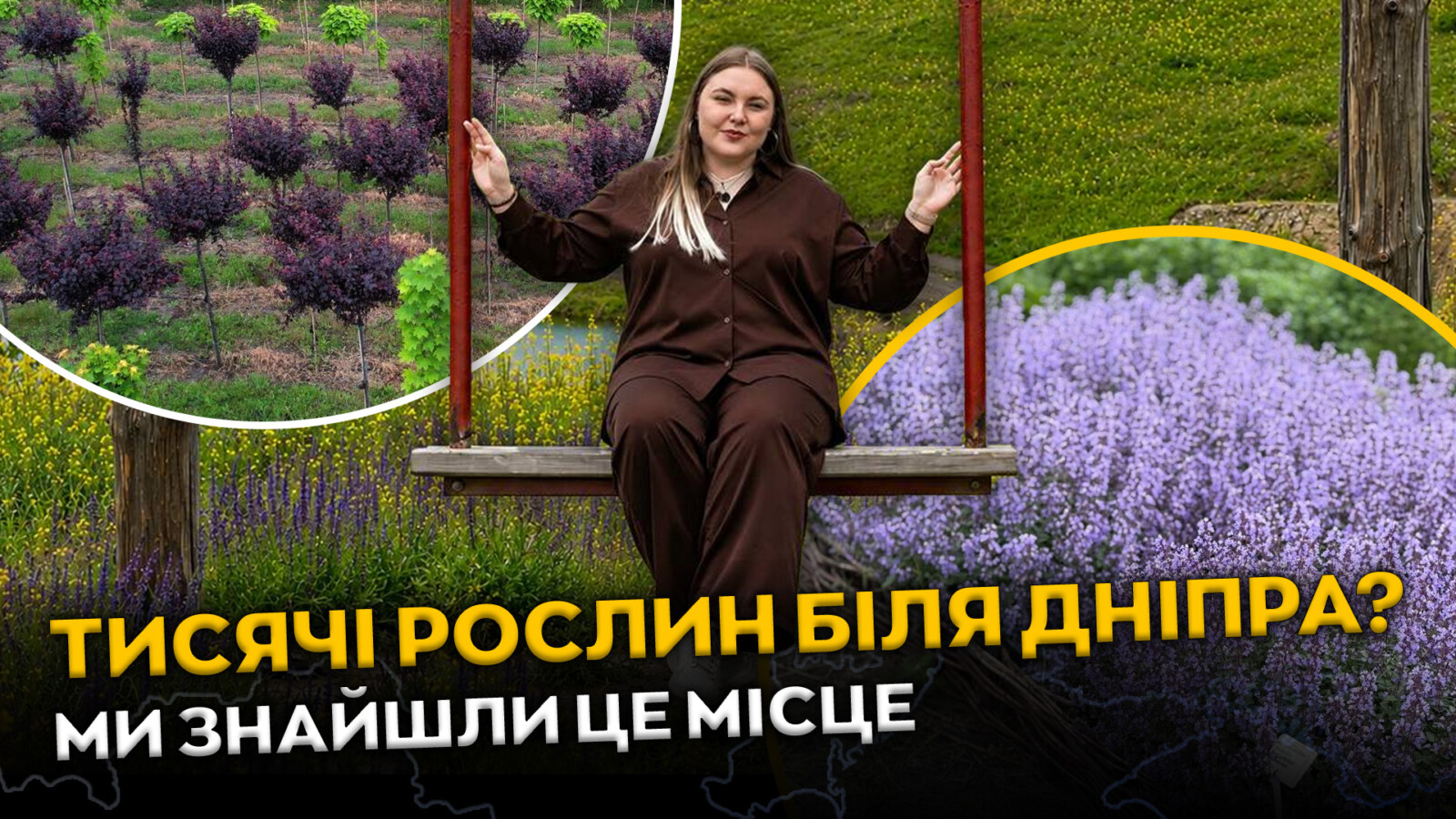 Розсадник у Спаському біля Дніпра: тисячі рослин і популярні фотозони