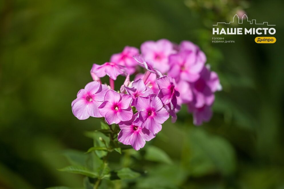 12 серпня: пам’ять мучеників Фотія і Анікіти, народні прикмети і заборони