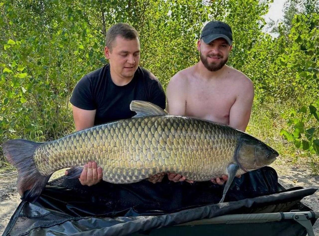 У Дніпрі виловили білого амура понад 30 кг та перевезли у спортивний ставок