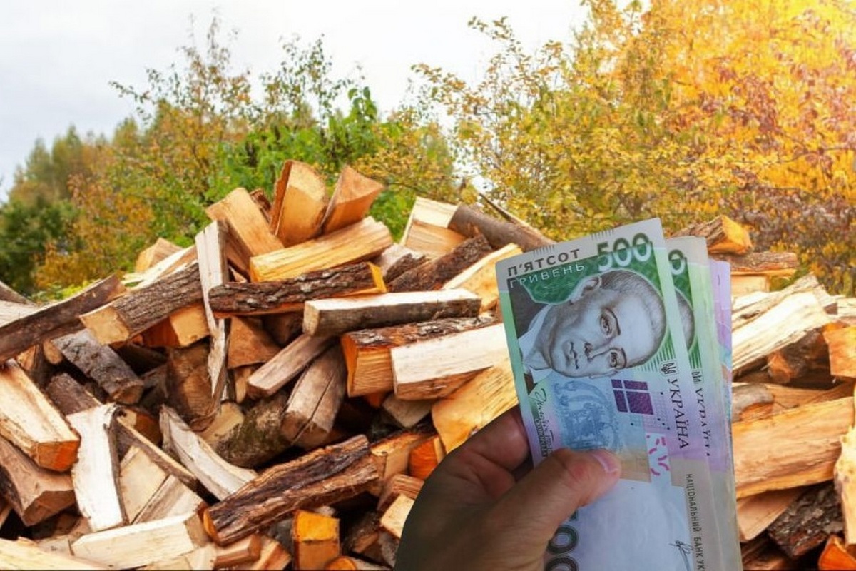 До 9205 грн компенсації за дрова: хто може отримати у 2024 році