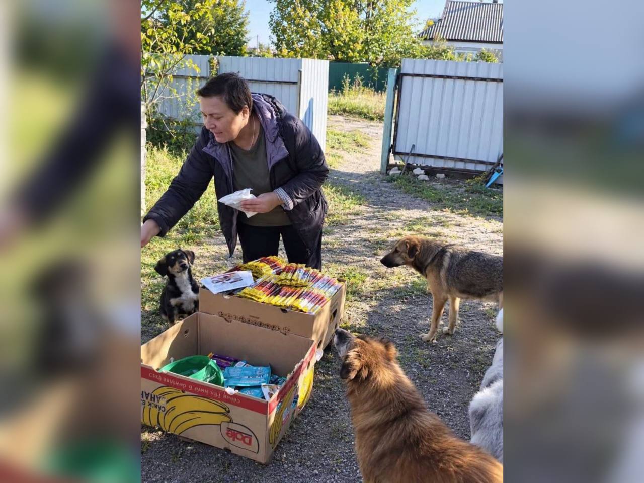 В межовій будинок зооволонтерки згорів через удар російського дрона